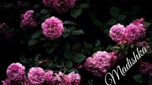 Керл Ял Чог1 Эщар Ююю❤Тешалахь Хьомениг Вохкхур Вуу Сайнааа 💣🤩😍ЖАЙНА МАТЦАЕВА 2018