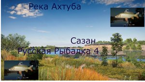 Сазан Ахтуба.Русская рыбалка 4