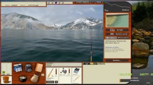 РР3 СТРИМ  Киты  и туры