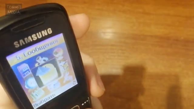 C145M 33 - Быстрый обзор на Samsung C300