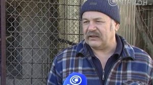 Разводить диких птиц в домашних условиях не трудно