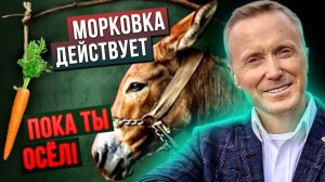 Законы геополитики. Как выйти из игр темной элиты.