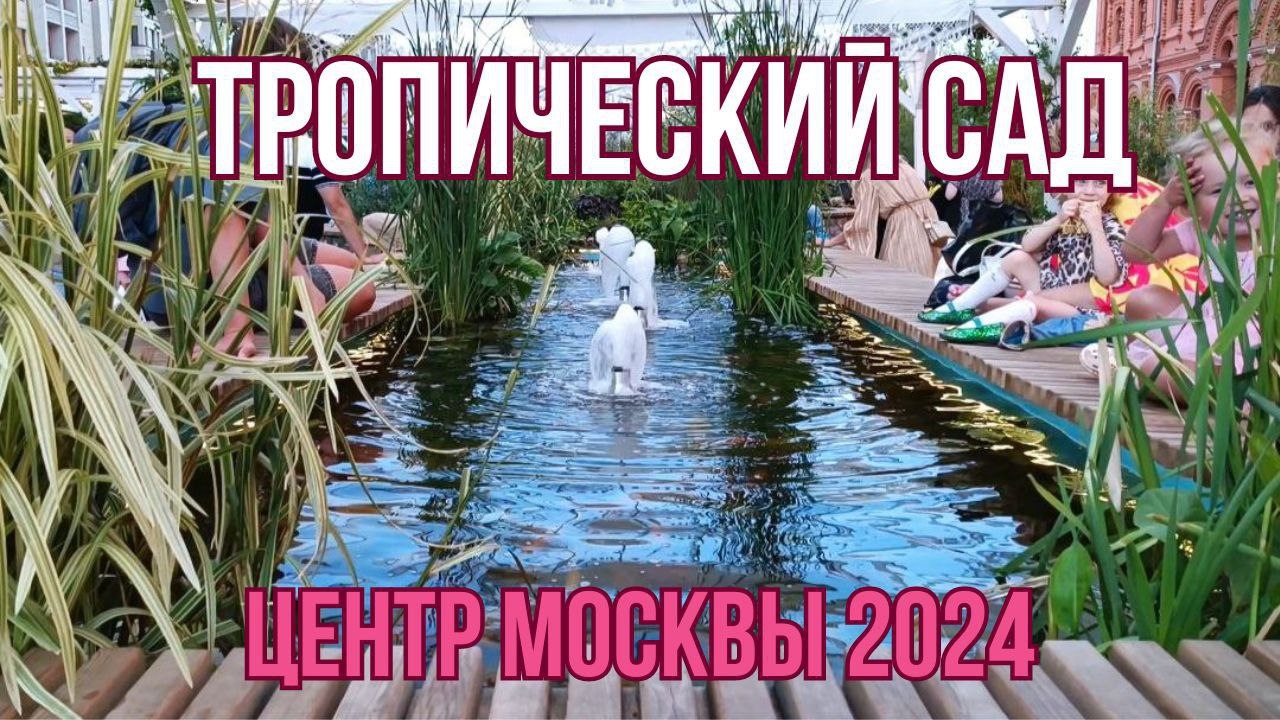 В центре Москвы расцвел тропический сад с прудами и фонтанами. Лето в Москве 2024