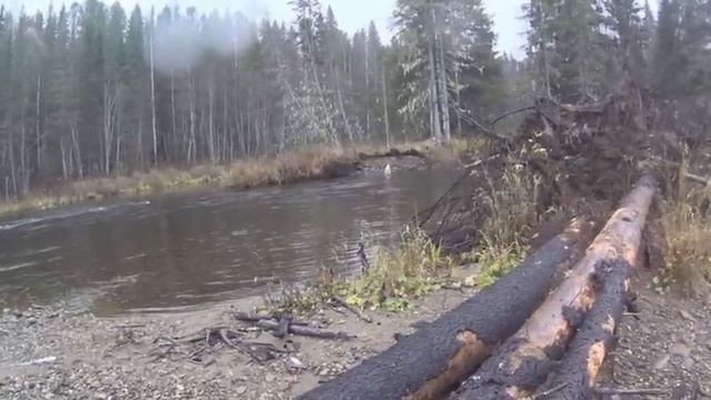 50 дней в тайге Прикамья.  Бродяги Севера. Часть 1