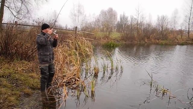 Ловля на цикаду смотреть онлайн