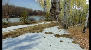 Марк Бернес-2