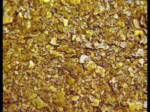 Нашёл россыпь золота, почти на поверхности!