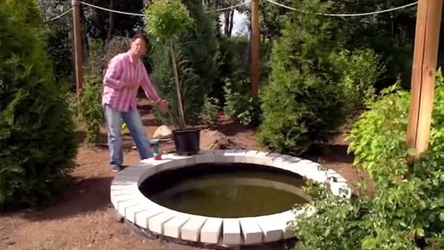 Штамбовые розы. Розовое настроение. Выпуск 3