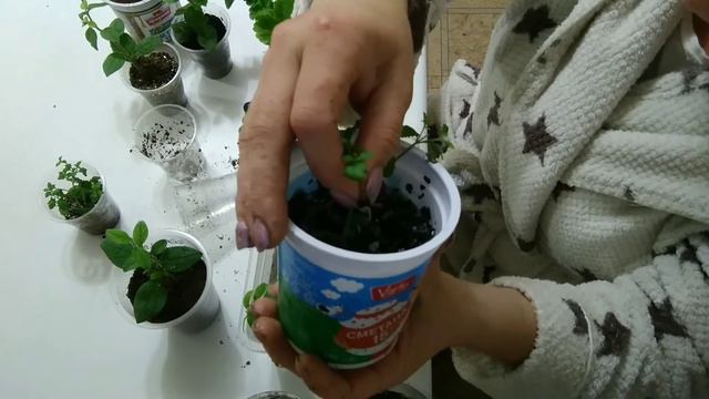 Супер способ для образования корней.
