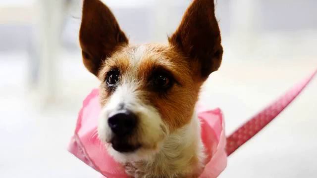 Самая хорошая мелодия и видео - онлайн смотреть беспл... смотреть онлайн