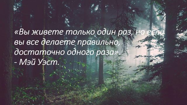 Умиротворяющие цитаты. В поисках умиротворения и спокойствия