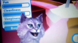 Кошка лана поёт 😻🙀😺😽