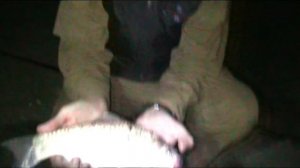 Рыбалка на реке Дон  -  Рогожкино 5 июля 2018г. по приглашению друзей Fishing on Don НесСтар