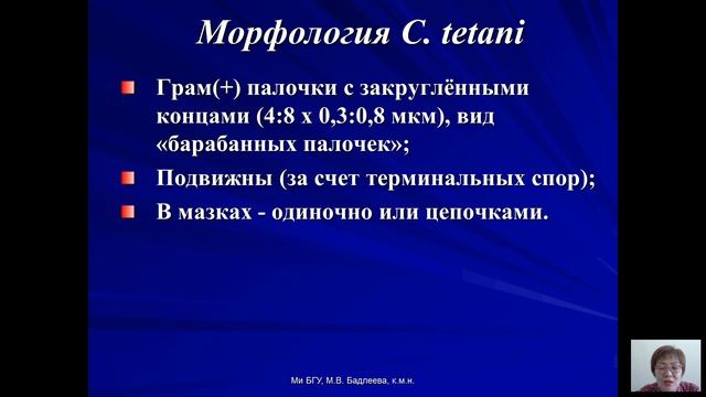 Возбудители бактериальных и вирусных инфекций (Бадлеева М.В.) - 3 лекция (2017)