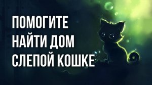 Ее предали, но она все еще верит людям -  Только вместе мы справимся