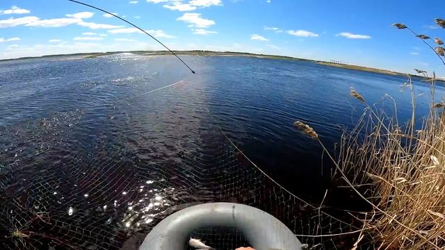 Рыбалка на паук подъёмник САЗАНЫ МОНСТРЫ рекомендую его посмотреть
