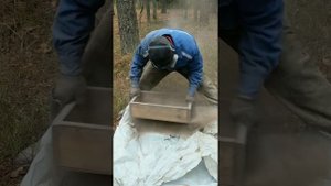 Зола после сжигания хвойных веток для удобрения овощных и фруктовых культур