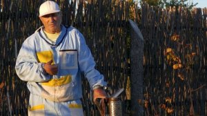 Средства против клеща варроа