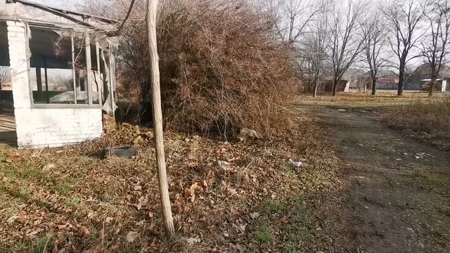 270 Переезд с севера на юг / Купили дом в деревне /Собака скунс / Весна в январе / Деревенская жизнь
