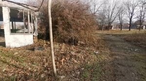 270 Переезд с севера на юг / Купили дом в деревне /Собака скунс / Весна в январе / Деревенская жизнь