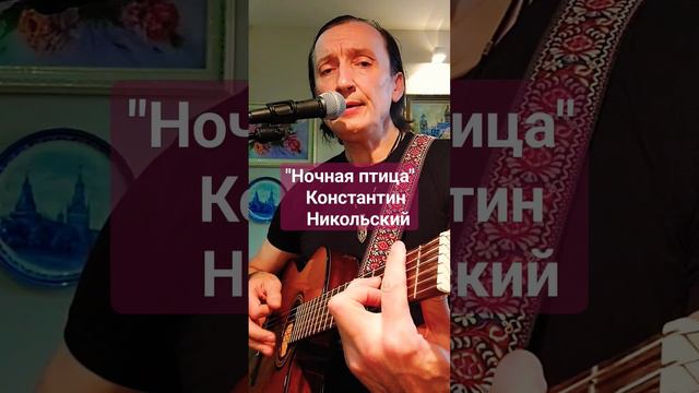 "Ночная птица"К.Никольский (cover) #shortsguitarcover #никольский #guitarmusic @AleksanderZyryanov