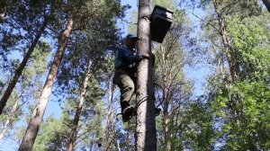 Ставим ловушки так, чтобы им не приделали "ноги".