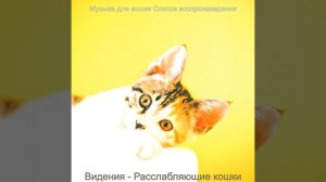 Музыка (Кошки)