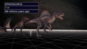 Size Comparison of Extinct Animals