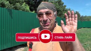 Две абиссинки в одном видео.