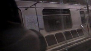 Перегон Люблино - Зябликово