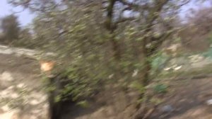 Самый ленивый огород ! Мечта лентяя.Простой способ.