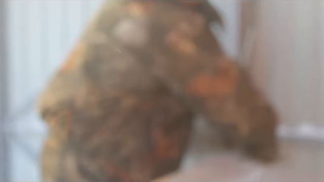 РУССКАЯ МЕТЛА СВОИМИ РУКАМИ. смотреть онлайн