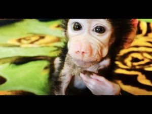 У Люси не всё в порядке со здоровьем