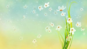 Футаж Цветы