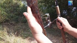 Как поймать большую рыбу Ротан в речке