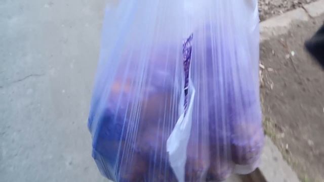 VLOG Гуляем с Викой. Заехали в тур-агенство. Планируем отдых смотреть онлайн