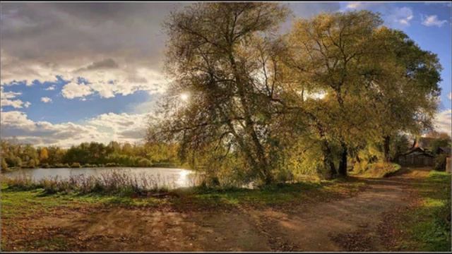 Золотой саксофон смотреть онлайн