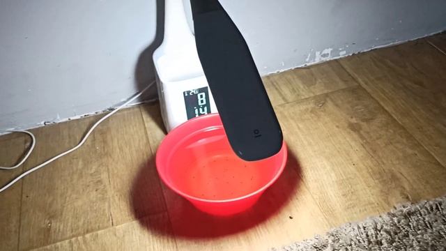 Как быстро избавиться от блох в доме? смотреть онлайн