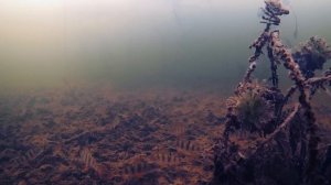 Окунь на блесну. Подводные съёмки
