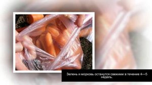 Продукты в холодильнике. Правильное хранение продуктов . Часть 1