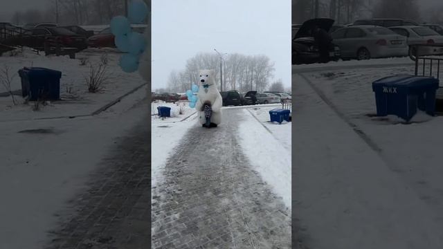 Друг пришел на День рождения. Поздравление от белого мишки в Минске пломбира аэромедведя