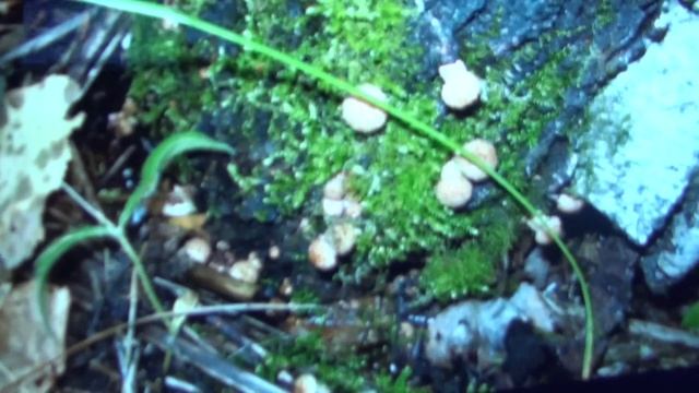 IPS и не IPS матрица на планшете смотреть онлайн