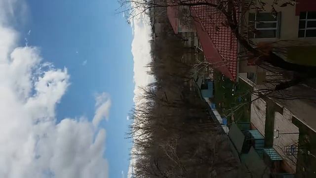 Тараздагы жел смотреть онлайн