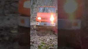 Зил Бычок мосты газ 66 двс Мерседес ом 352