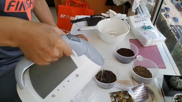 Anyhow grow Horti Cactus Mixed Seeds смотреть онлайн