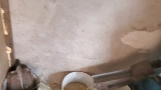 Виробництво корму для відгодівлі бройлерів