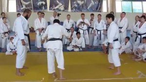 Шотокан каратэ.Семинар М.Яхара в Москве 2013г.