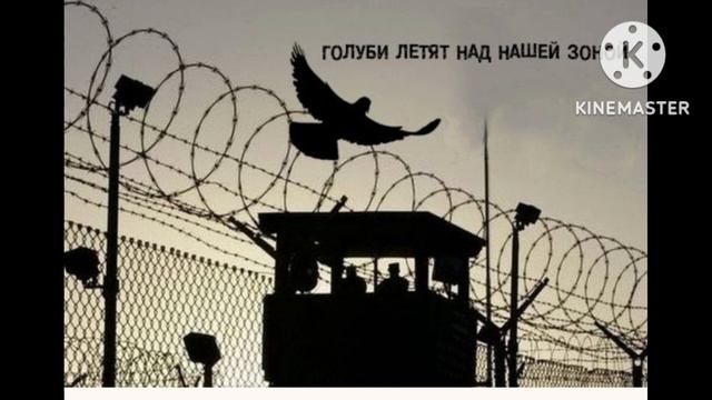 Голуби летят над нашей зоной...