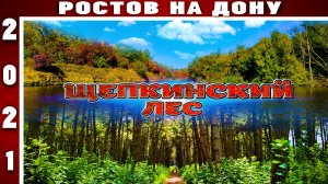 ЩЕПКИНСКИЙ ЛЕС РОСТОВ НА ДОНУ