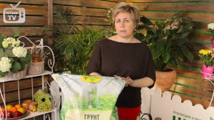 Детский огород ➡ Чем заняться детям на даче?